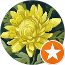 AMANI SHAHEEN profile picture